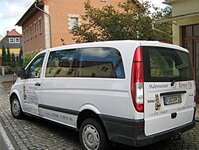 Bild 1 Pilz in Neustadt in Sachsen