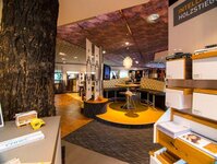 Bild 18 Raumausstattung Schönfelder in Rodewisch