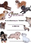 Bild 5 www.ihr-hundefriseur.de in St. Egidien