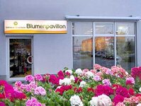 Bild 30 Blumenpavillon Miller in Neustadt in Sachsen