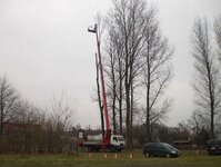 Bild 14 Baum-Haus-Service in Elstra