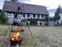 Bild 3 Friesengestüt Black Pearl in Penig