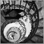 Bild 1 Lichtecht in Annaberg-Buchholz