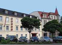 Bild 1 Schwarzer Bär in Zittau