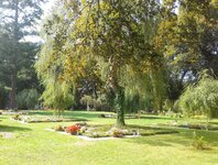 Bild 2 Friedhofsverwaltung I und II in Plauen