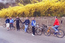 Bild 6 Mischner Autohaus in Bad Schandau