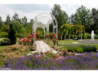 Bild 5 Volkmar Gutsche Garten- u. Landschaftsbau in Werdau