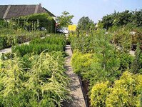 Bild 5 GartenBaumschule Lux in Bannewitz