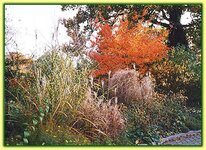 Bild 2 Hornung Andreas Naturgarten-Anlagen in Glauchau
