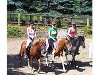 Bild 6 Lama-Ponyhof Inh. Schittko in Langenbernsdorf