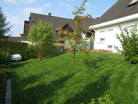 Bild 4 Morgenstern in Sehmatal-Cranzahl