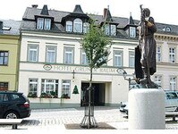 Bild 1 Grüner Baum in Elsterberg