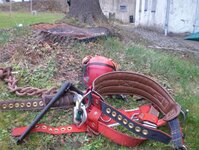 Bild 5 Baum-Haus-Service in Elstra