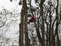 Bild 1 Baum-Haus-Service in Elstra