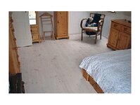 Bild 4 Schröter in Mittweida