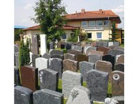 Bild 2 Sittel in Zschopau
