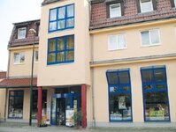 Bild 1 Richter in Neustadt in Sachsen