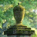 Bild 4 Oberüber Bestattungen in Dresden