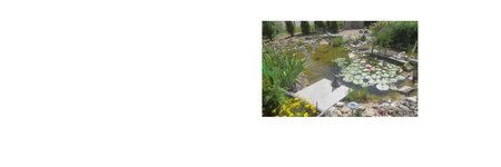 Bild 3 Wagner Gärten GmbH in Neresheim