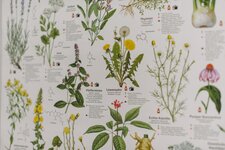 Bild 5 Heilpraktiker Futterer Irina in Aach