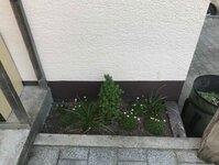 Bild 9 Garten- und Landschaftsbau Hartmut Leszinski in Ebersbach