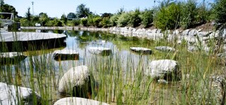 Bild 3 Form & Pflanze Garten- und Landschaftsbau Sarah Müller-Koch und Enno Koch GbR in Leutkirch