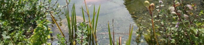 Bild 4 Schulze Kay Garten- und Landschaftsbau in Rudersberg