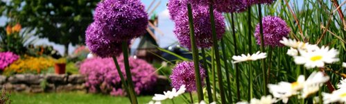 Bild 2 A. Walter GmbH Garten- und Landschaftsbau in Heilbronn