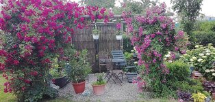 Bild 1 Form & Pflanze Garten- und Landschaftsbau Sarah Müller-Koch und Enno Koch GbR in Leutkirch