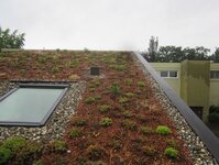 Bild 2 Gurr Garten- und Landschaftsbau GmbH in Untergruppenbach