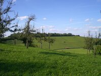 Bild 4 Hotel-Restaurant Rose Bitzfeld in Bretzfeld