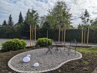 Bild 6 Form & Pflanze Garten- und Landschaftsbau Sarah Müller-Koch und Enno Koch GbR in Leutkirch