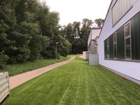 Bild 4 Garten- und Landschaftsbau Hartmut Leszinski in Ebersbach