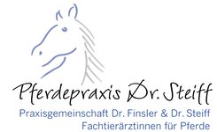 Bild 6 Pferdepraxis Dr. Steiff in Tübingen