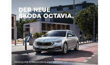 Kundenbild groß 3 Auto Wolters GmbH Autohaus