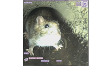 Kundenbild groß 2 HM Rohr & Kanalsanierung GmbH