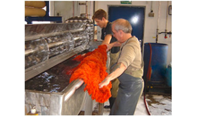 Kundenbild groß 7 CS-Teppichreinigung Paul Runte GmbH