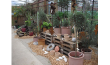 Kundenbild groß 10 Gartenland Rabovsky e.K.