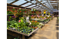 Kundenbild groß 3 Gartenland Rabovsky e.K.