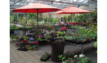 Kundenbild groß 5 Gartenland Rabovsky e.K.