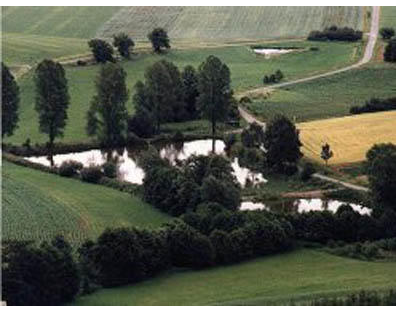 Kundenfoto 4 Gasthof Fillweber