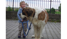 Kundenbild groß 1 Hundeschule Möller