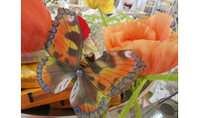 Kundenbild groß 3 Dressel Roselinde Wohnaccessoires