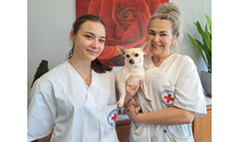 Kundenbild groß 1 Bayerisches Rotes Kreuz - Pflegestation