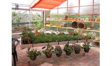 Kundenbild groß 5 PREMM | Garten- und Landschaftsbau, Baumschule