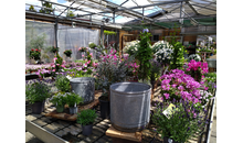 Kundenbild groß 2 Gartenland Rabovsky e.K.