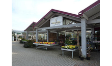 Kundenbild groß 3 Renner Blumen