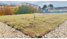 Kundenbild groß 5 Team Walkowiak