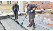 Kundenbild groß 4 Team Walkowiak