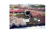 Kundenbild groß 2 Gartenbau Ernst Risse Inh. Reinhild Hellenberg